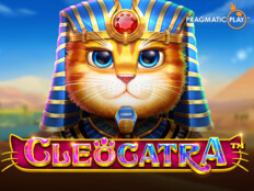 Slot mate free slot casino. Nitel veri toplama araçları.21